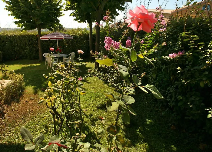B&B Il Parco Dei Pini Giulianova